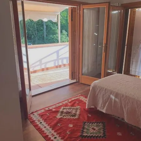 Charming House In With Fenced Garden Holiday home